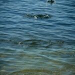 skipping-stones-across-water